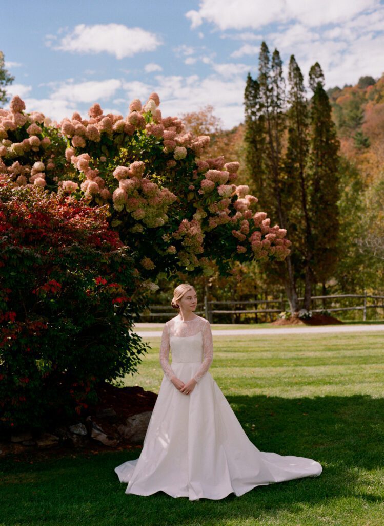 A Beautiful bride wearing white dress standing near a tree