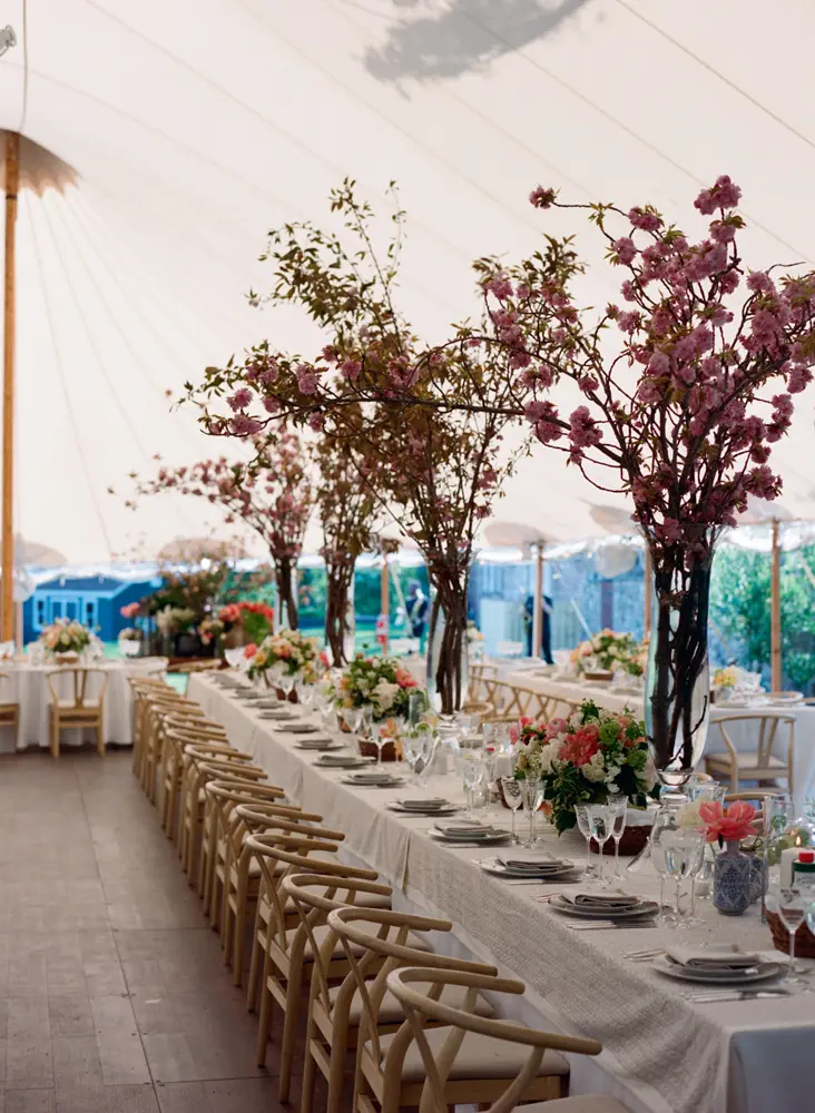 Tables along with long trees at a wedding